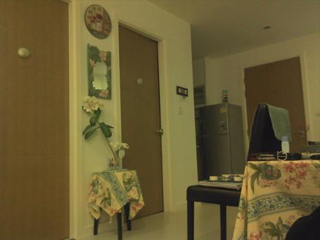 picture8